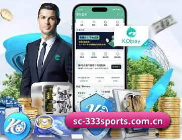 333体育 APP